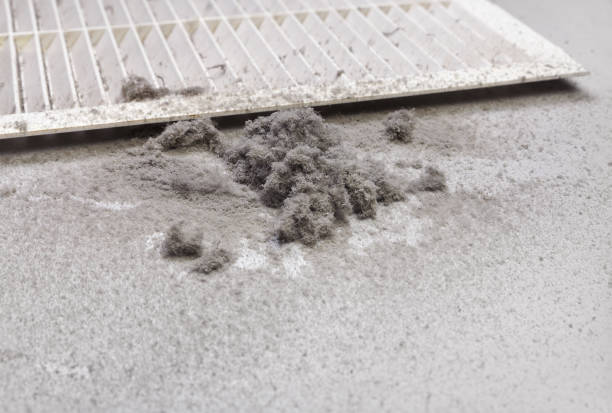 Best Air Vent Cleaning Services  in Prosper, TX