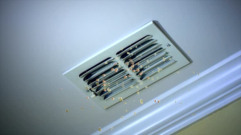 Best Air Duct Cleaning Near Me  in Prosper, TX