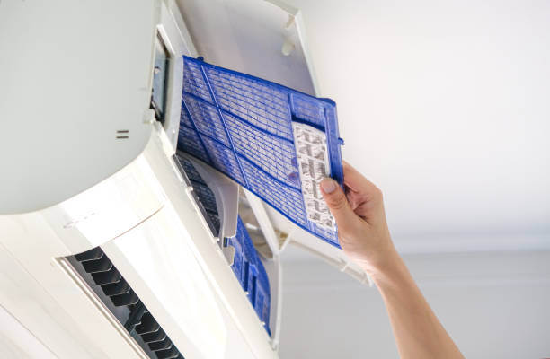 Air Duct Mold Removal in TX