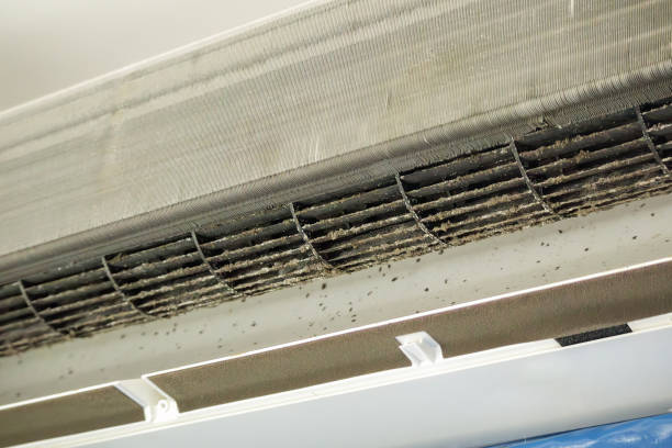 Best Affordable HVAC Duct Cleaning  in Prosper, TX