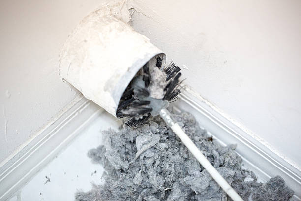 Best Air Duct Cleaning Company Near Me  in Prosper, TX